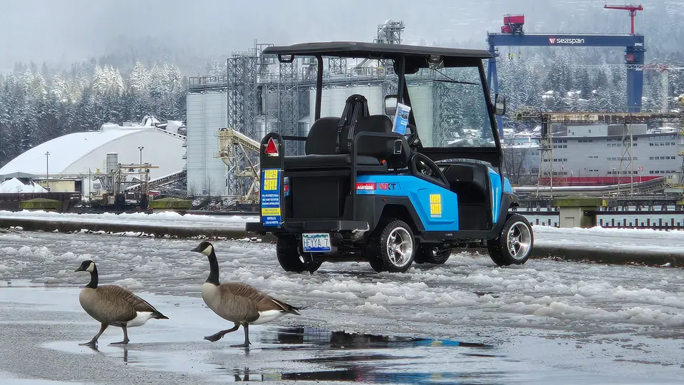 A HeyYa cart parked on a snowy waterfront lot as two Canada geese wander past